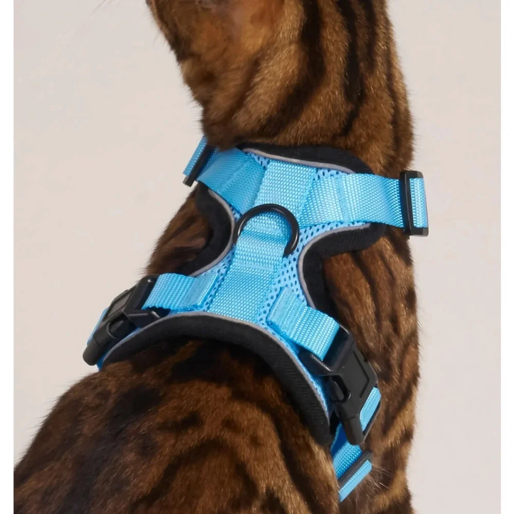 Rabbitgoo blue & black cat harness & leash, size medium, NIB.